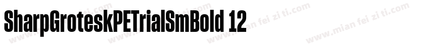 SharpGroteskPETrialSmBold 12字体转换